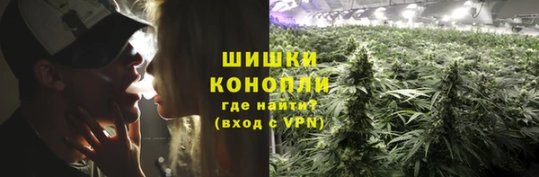 ПСИЛОЦИБИНОВЫЕ ГРИБЫ Кинешма