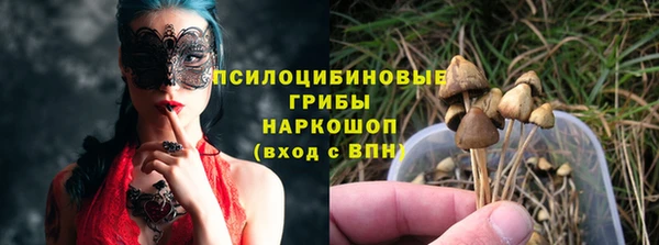 spice Киреевск