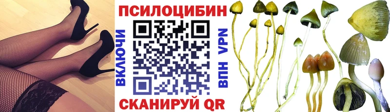 Псилоцибиновые грибы мицелий  Купить  Глазов 